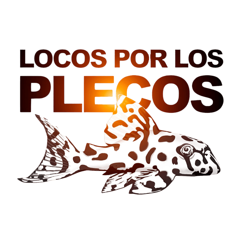 Locos por los plecos