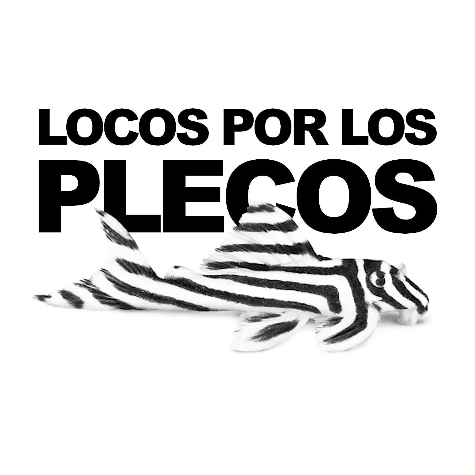 Locos por los plecos